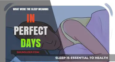 Dreaming of Perfect Days: Sleep's Meaning