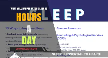 Unlocking the Secrets of Productivity: The Impact of 12-Hour Sleep Cycles