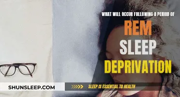 REM Sleep Deprivation: What Happens After?