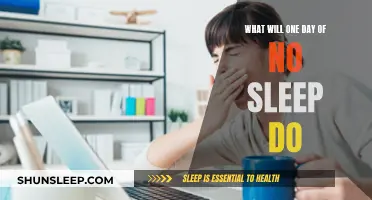 A Day Without Sleep: The Consequences and Effects