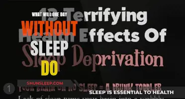 A Day Without Sleep: The Impact and Effects