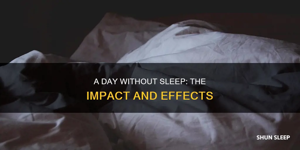 what will one day without sleep do
