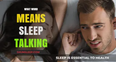 The Mysterious World of Somniloquy: Sleep Talking Explored