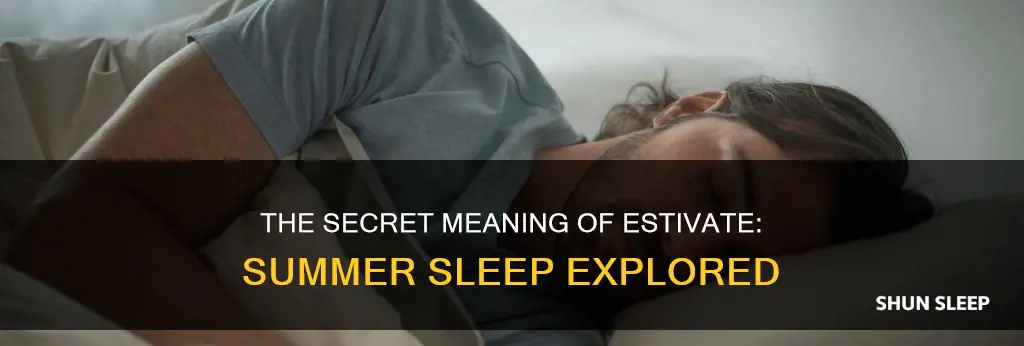 what word means summer sleep