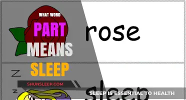 Exploring Sleep: Understanding the Language of Slumber