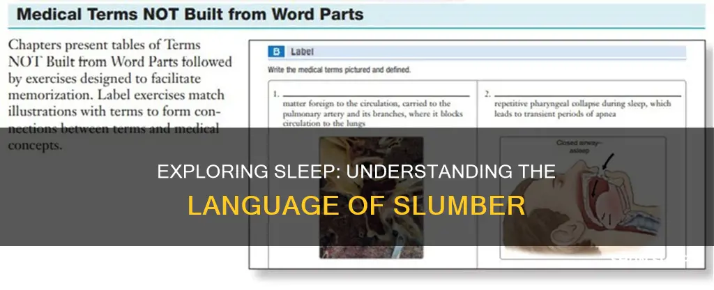 what word part means sleep