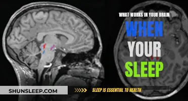 Brain Activity During Sleep: Unraveling the Mystery