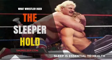 Famous Wrestlers Who Used the Sleeper Hold Move