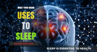Brain Chemistry: The Science of Sleep