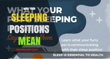 Sleeping Positions: What They Say About You