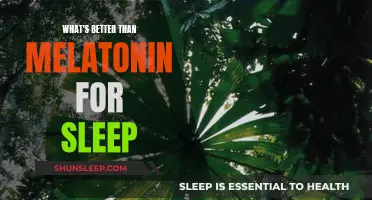 Melatonin Alternatives: Natural Ways to Get Better Sleep