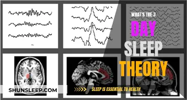 Sleep Theory: Three-Day Cycle for Optimal Rest