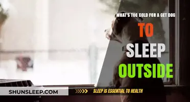 Is It Too Cold for Your Dog to Sleep Outside? Find Out!