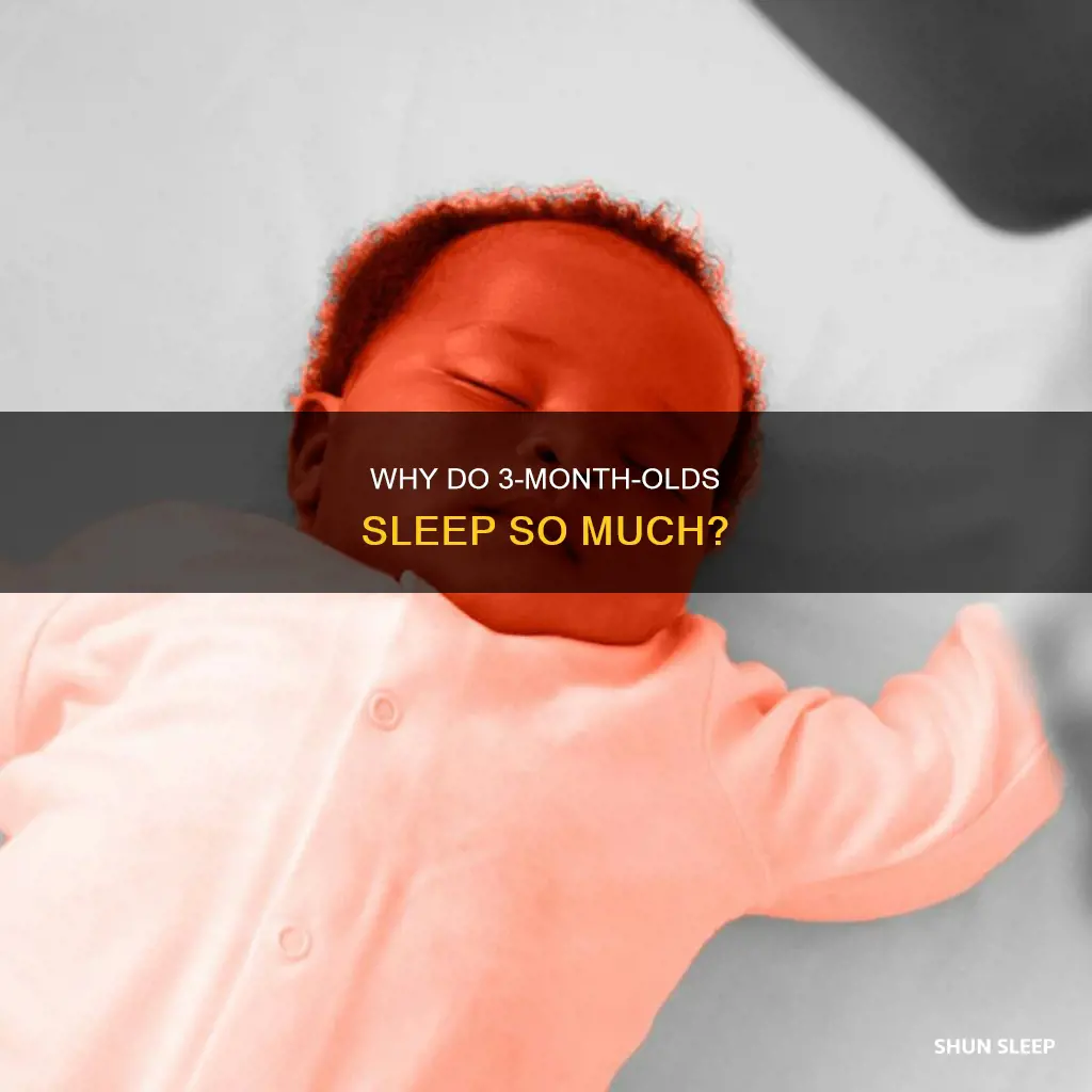 when a 3 month old sleeps a lot
