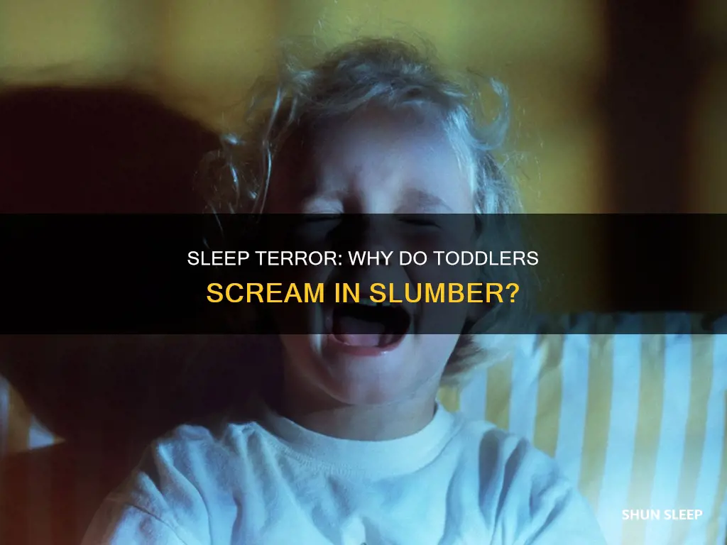 when a 5 year old scream in his sleep
