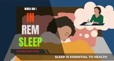 Understanding REM Sleep: Timing and Its Importance