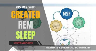 How REM Sleep Creates Our Memories