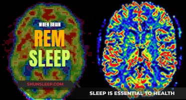 Brain's REM Sleep: Unlocking the Mystery of Dreams