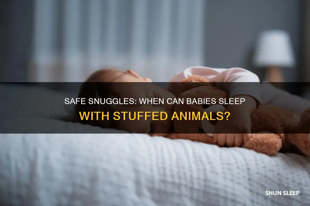 when can a baby sleep with a stuffed animal