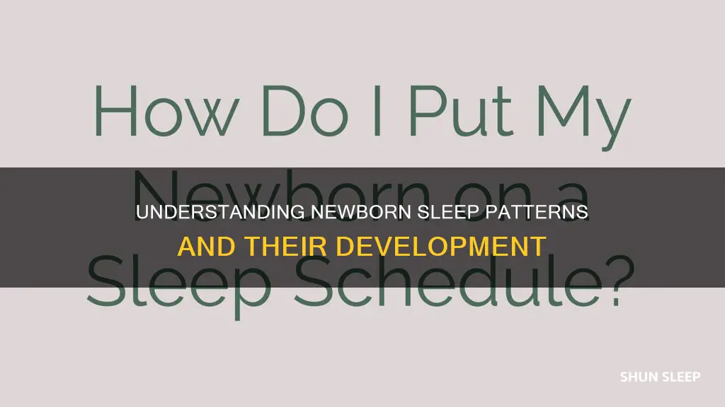 when can newborns start sleeping more
