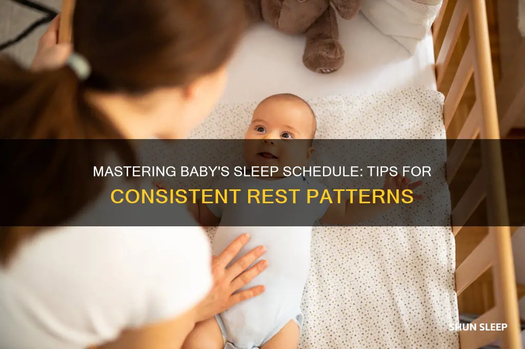 when can you get a baby on a sleep schedule