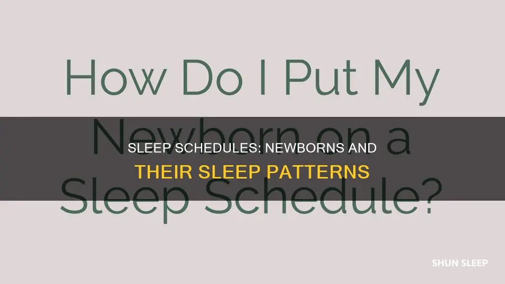 when can you start a sleep schedule with a newborn