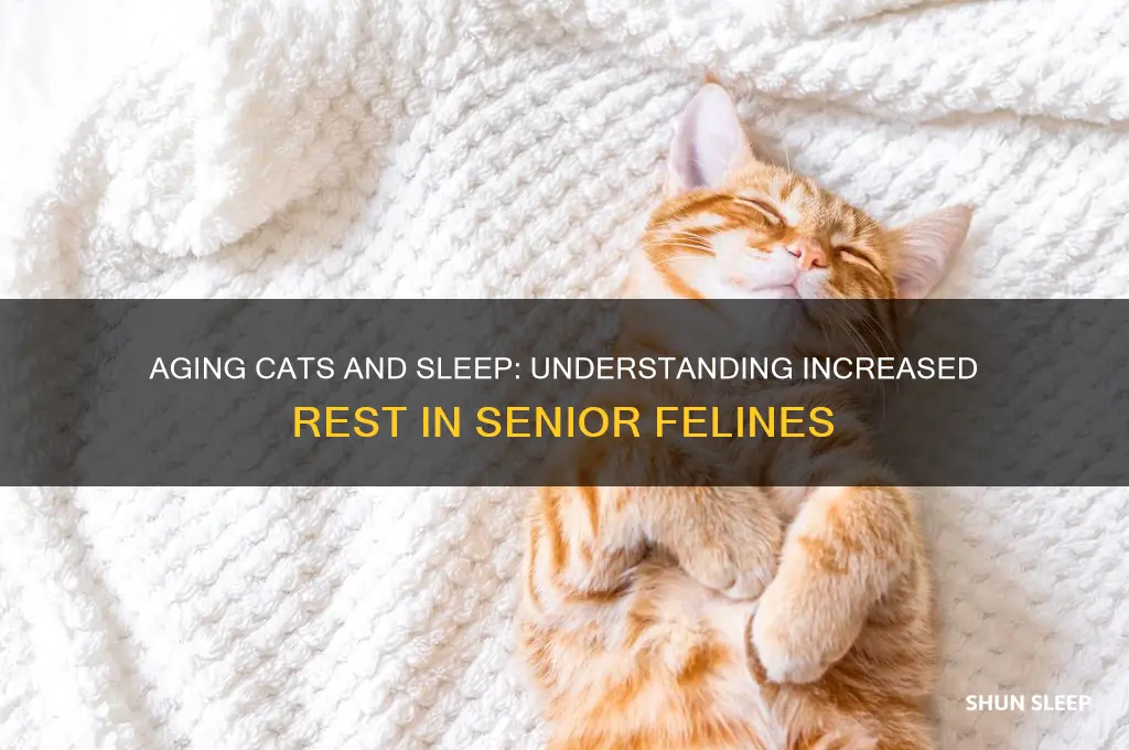 when cats get older do they sleep more