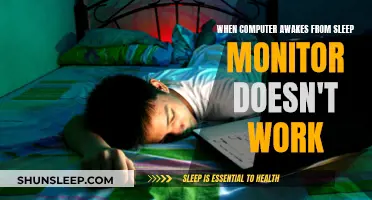 Troubleshooting Monitor Issues After Sleep Mode