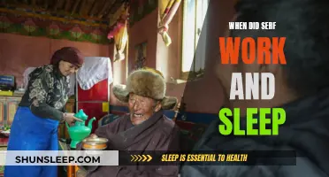 Serfs' Work and Sleep Patterns: A Historical Perspective