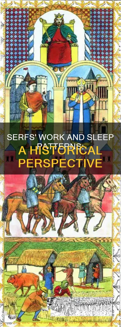 when did serf work and sleep