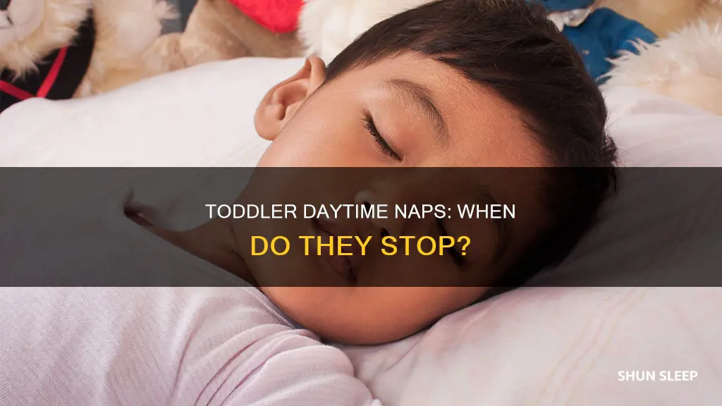 when did toddler drop day sleep