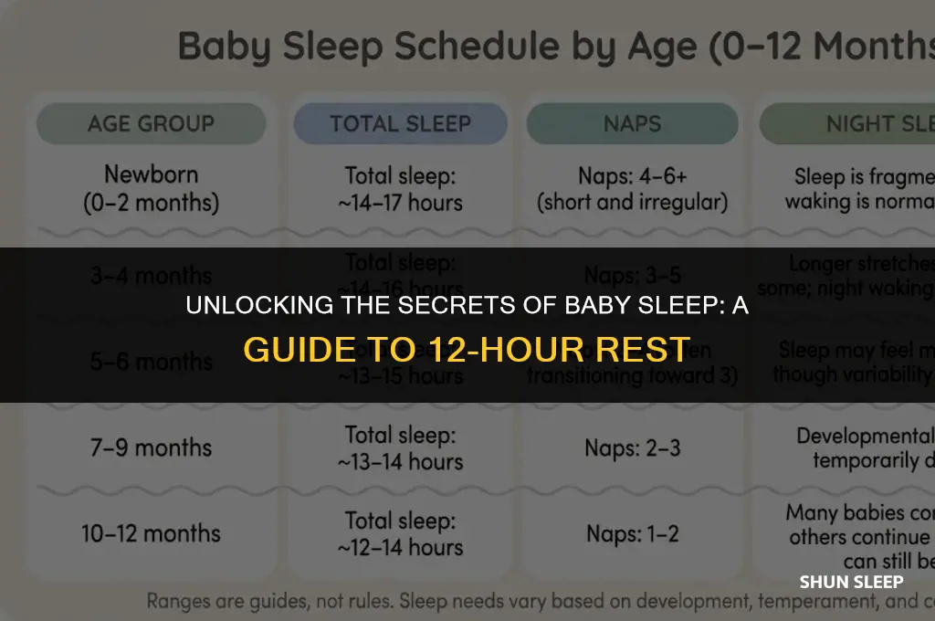 when do babies sleep 12 hours