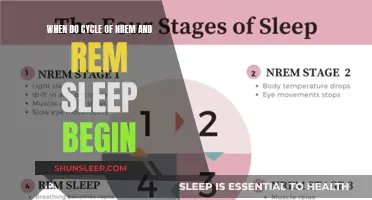 Understanding Sleep Cycles: NREM and REM Sleep Patterns