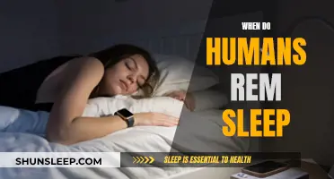 The Mystery of REM Sleep: Timing and Human Health