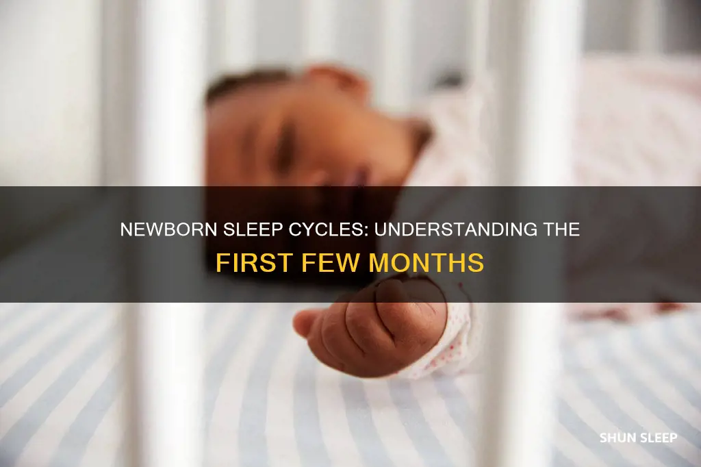 when do newborn sleep cycles change