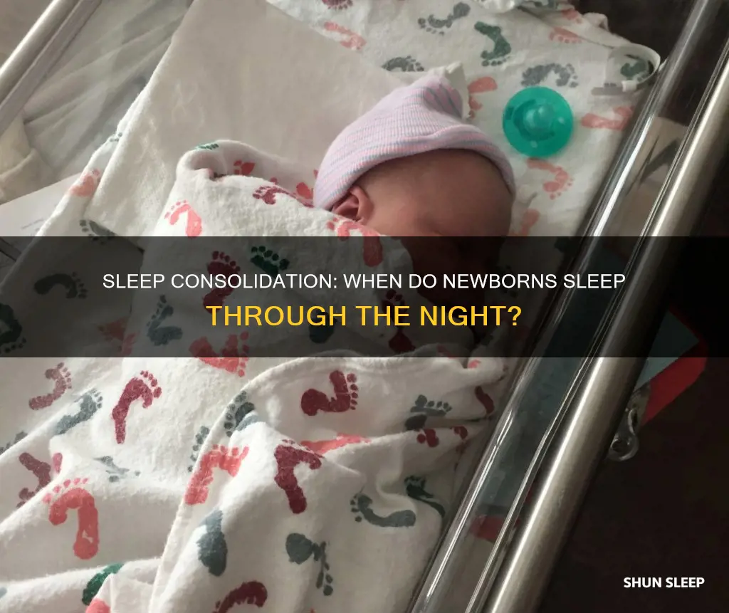 when do newborns consolidate sleep