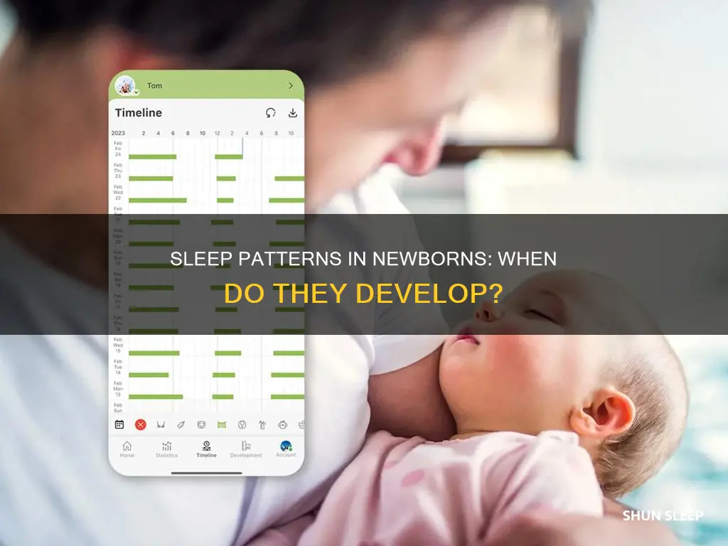 when do newborns develop sleep patterns