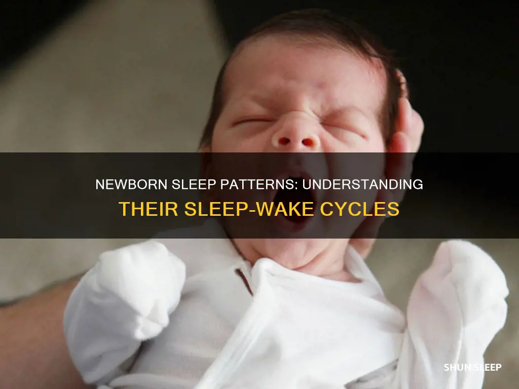 when do newborns not sleep all day