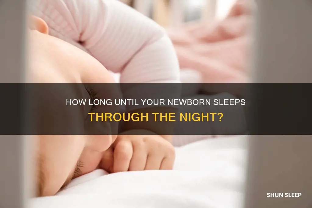 when do newborns sleep through