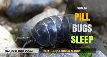 Pill Bugs' Sleep Patterns: Unlocking Their Resting Secrets