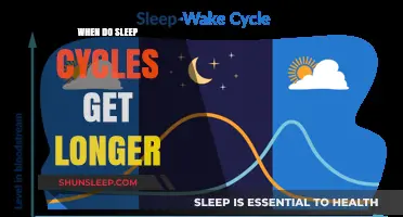 Understanding Sleep: When Do Our Sleep Cycles Naturally Lengthen?