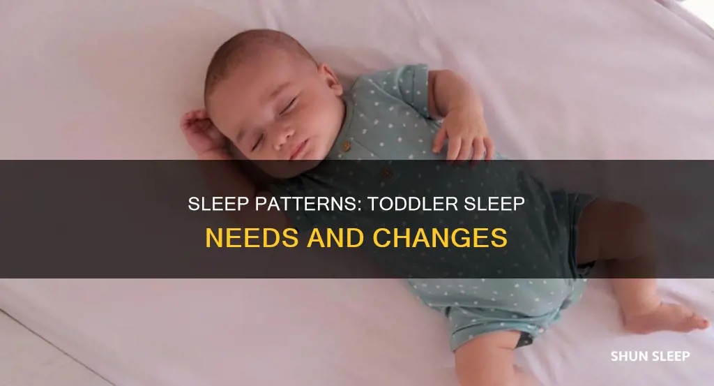 when do toddlers need less sleep