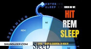 Understanding REM Sleep: Timing and Its Importance