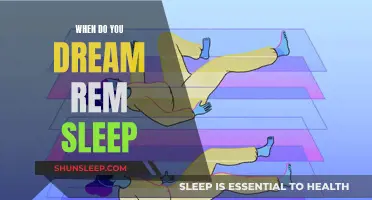 Understanding REM Sleep and Dreaming: Timing and Patterns