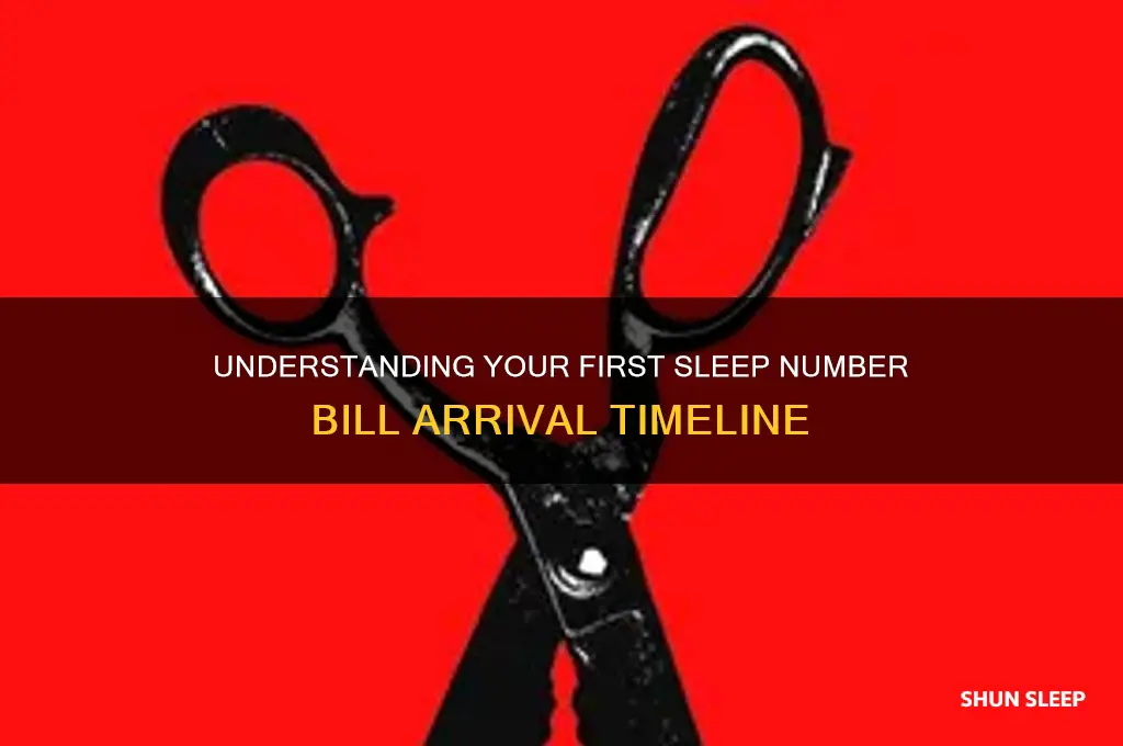 when do you get 1st bill from sleep number