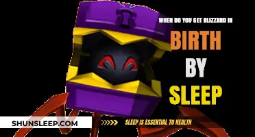 When Does the Blizzard Spell Unlock in Birth by Sleep?
