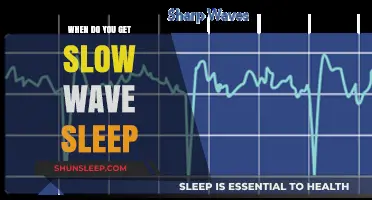 Understanding Slow Wave Sleep: Timing, Benefits, and How to Enhance It