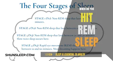 REM Sleep: Understanding the When and Why