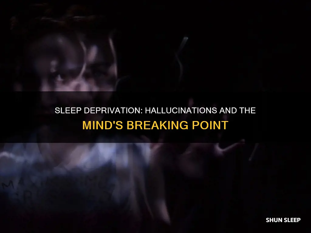 when do you start to hallucinate without sleep