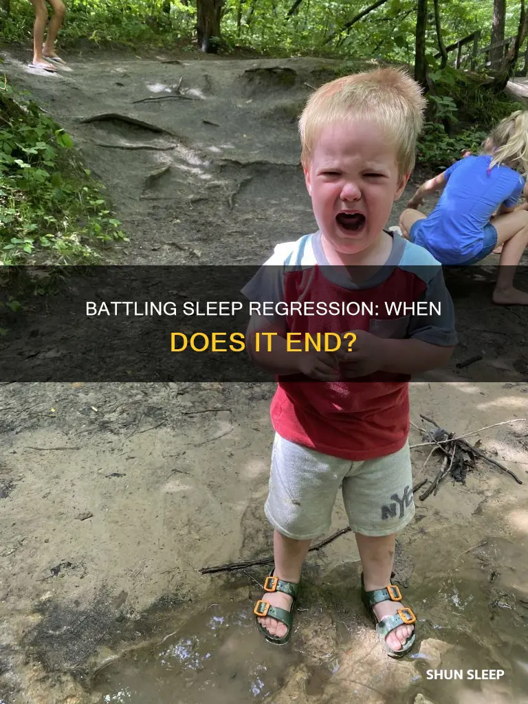 when does 2 year old sleep regression end